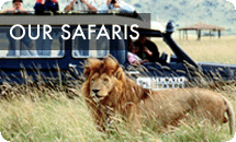 How NOT to choose an African safari! Download our free PDF guide.